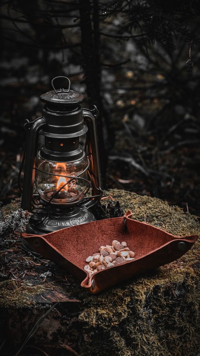 A vintage lantern illuminating stones on a forest tree trunk in Bolu, Türkiye.